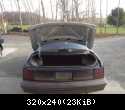 Trunk