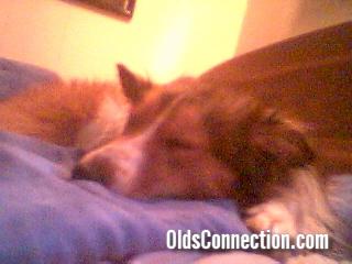 Sleepy