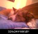Sleepy