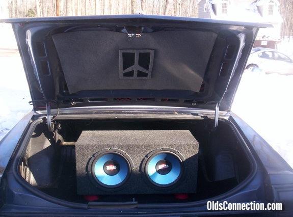 trunk