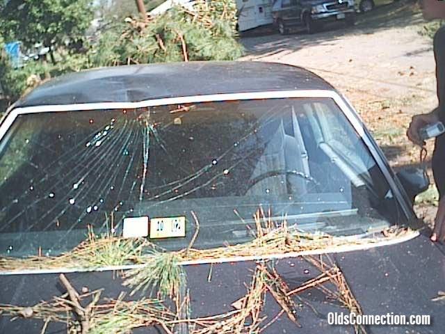 Cutlass After Hurricane
