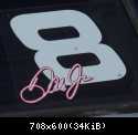 dale jr