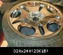 19" lowenhart Denali LD1