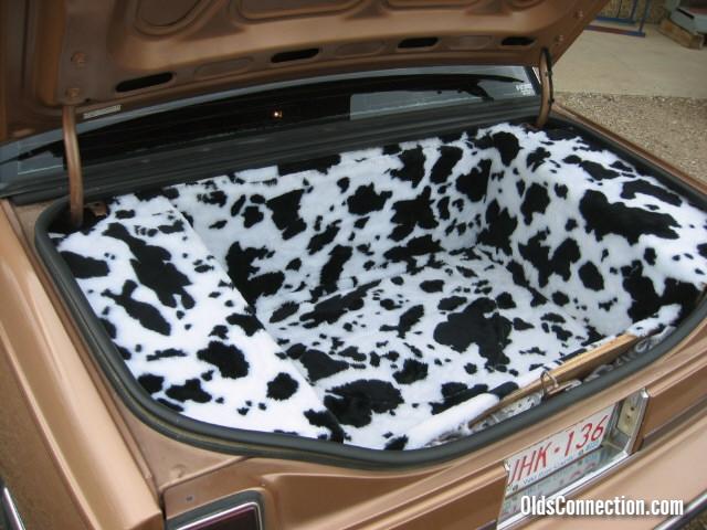 trunk 1 COW PRINT