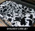 cowprint 2