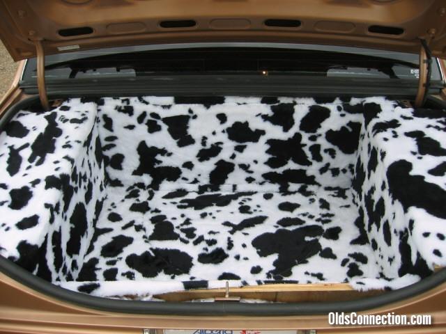 cow print 3