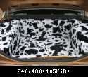 cow print 3