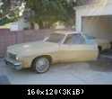 Small Photo.jpg
