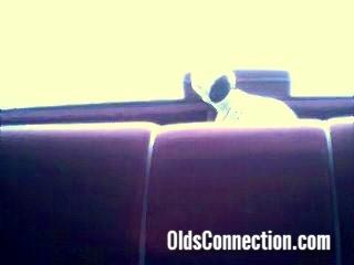 Bobbing Dalmation
