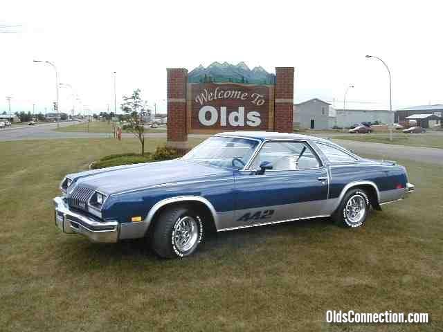 Car Show 2001