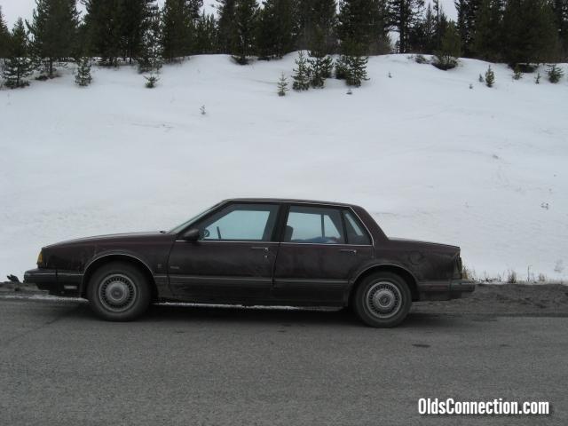 88 Royal and the Rockies