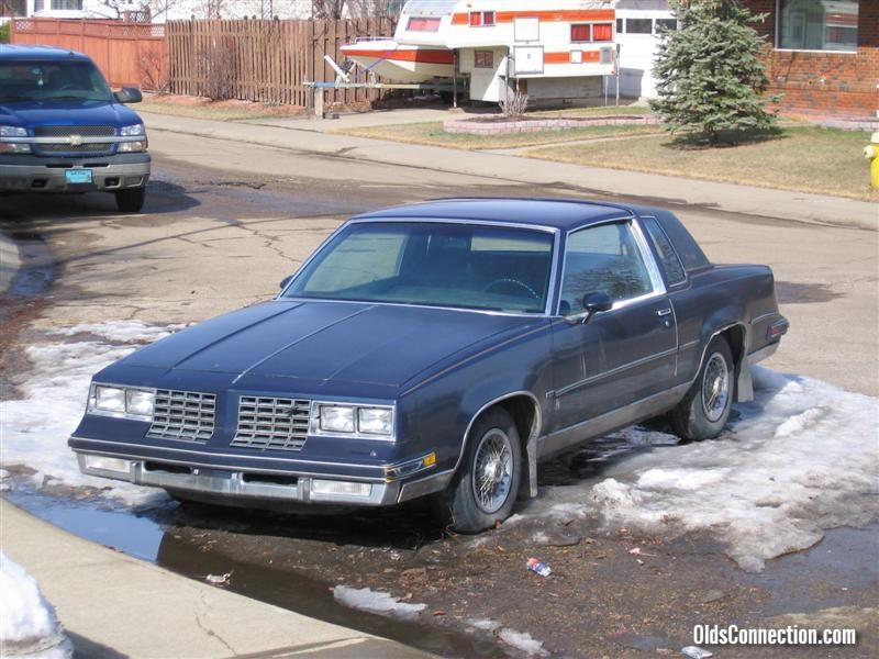 81 Blue Bastard