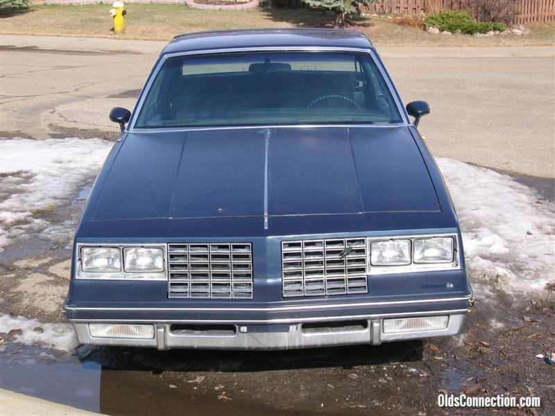 81 Blue Bastard