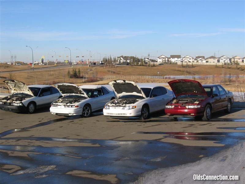 w-body meet